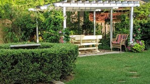 Een tuin met een pergola, een bank en een stoel.