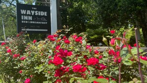 A sign for The Wayside Inn Bed & Breakfast, a historic house since 1780, surrounded by vibrant red roses. - The Wayside Inn Bed & Breakfast (Ellicott City)