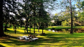 A serene park setting with picnic tables and lounge chairs under trees. - The Wayside Inn Bed & Breakfast (Ellicott City)