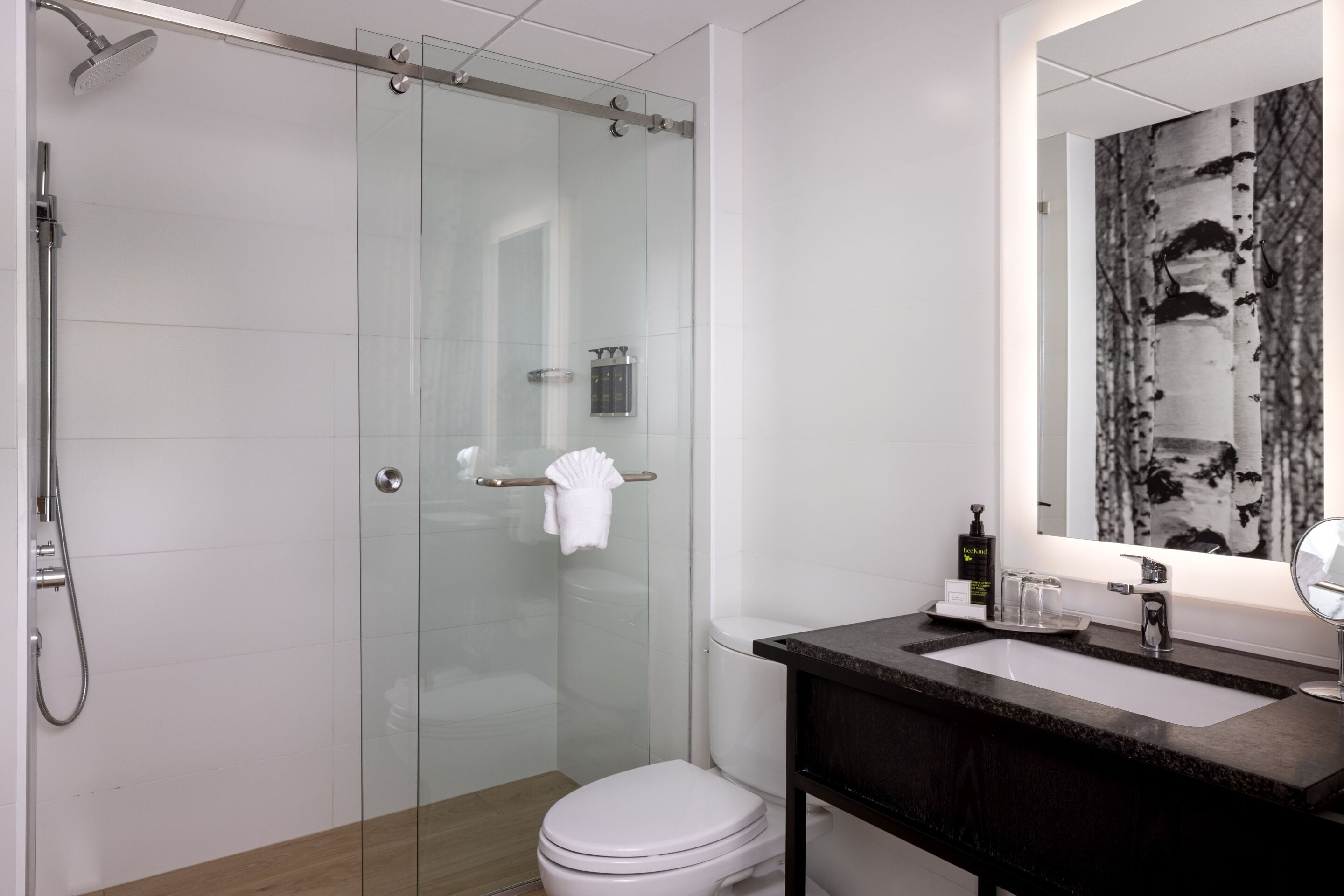 Un bagno moderno con box doccia in vetro, un water bianco, un lavello in granito scuro e uno specchio grande.