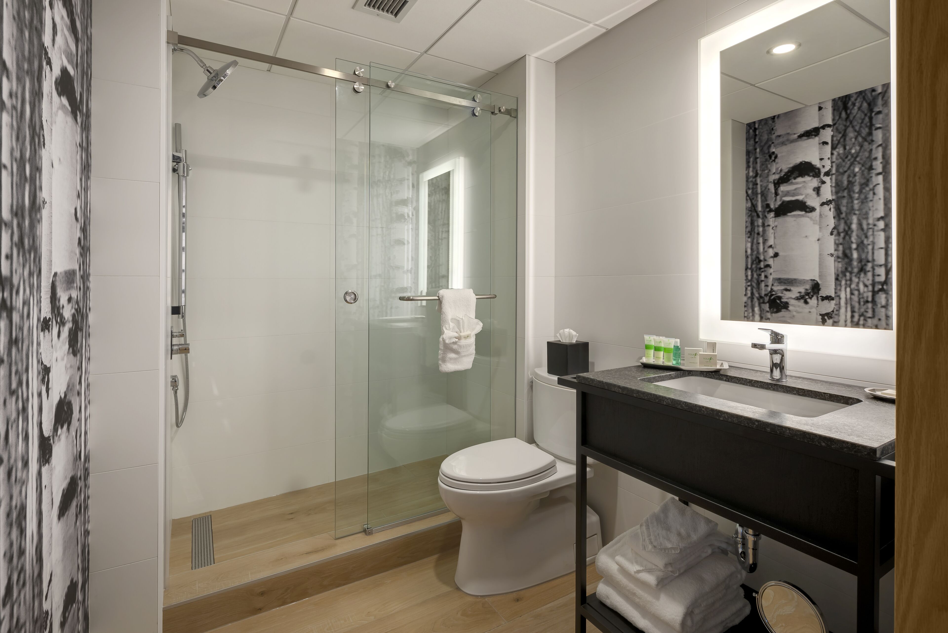 Quarto standard, 1 cama King (Preferred View) | Banheiro | Produtos de toalete biodegradáveis, secador de cabelo, toalhas de banho 