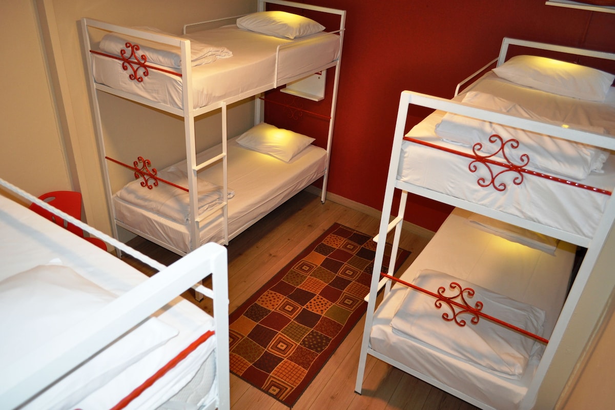 A dormitory room with bunk beds, a patterned rug, and a red wall.
