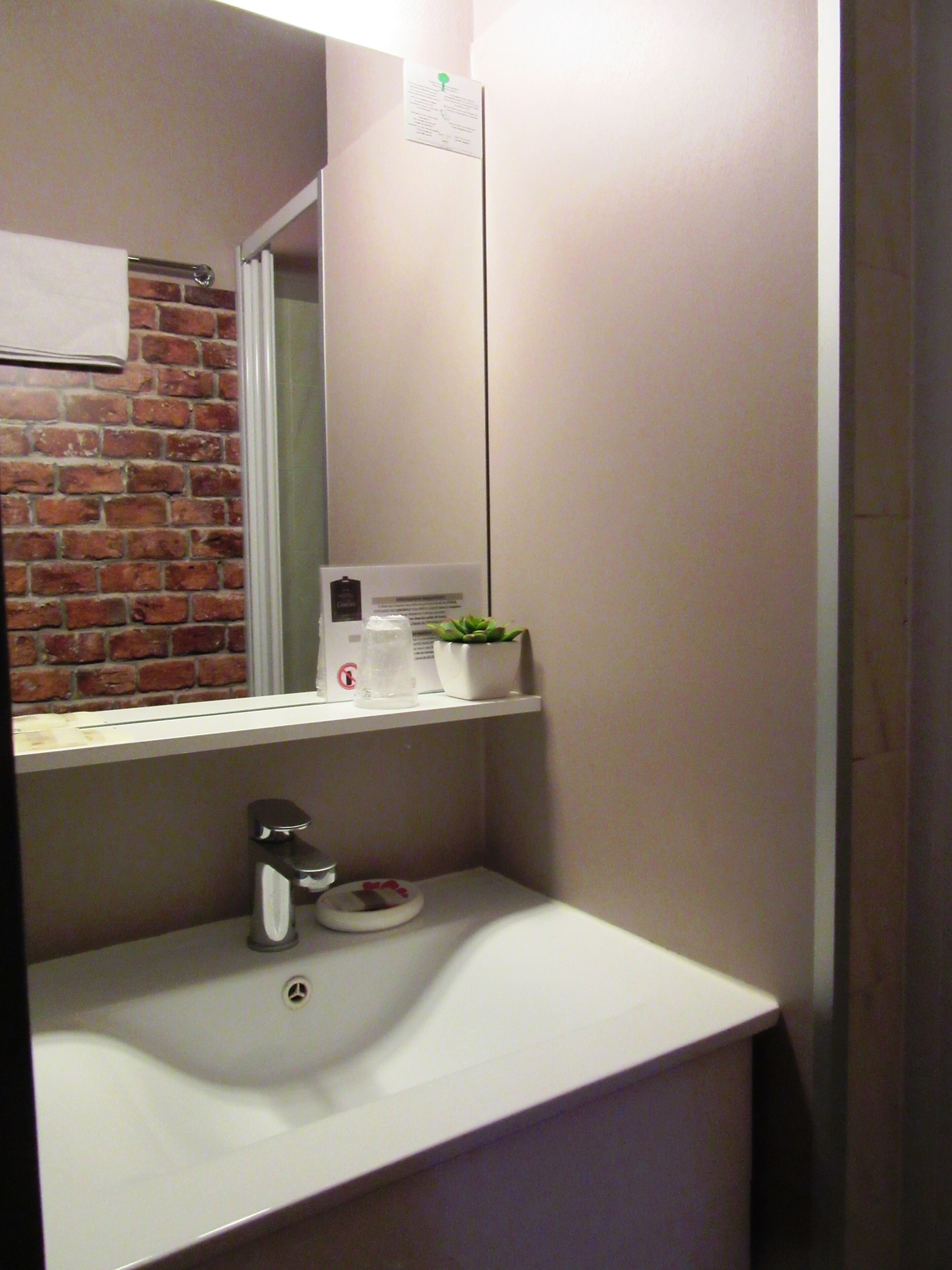 A bathroom with a white sink, a mirror, a small potted plant, and a coffee maker on the countertop.