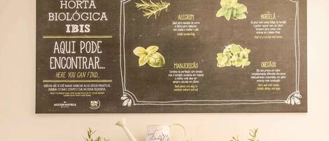 A wall with a signboard listing plants and their uses, and a wooden shelf below with potted plants and a watering can.