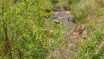 Eine natürliche Landschaft mit einem Fluss, grüner Vegetation und felsigen Hügeln im Hintergrund.