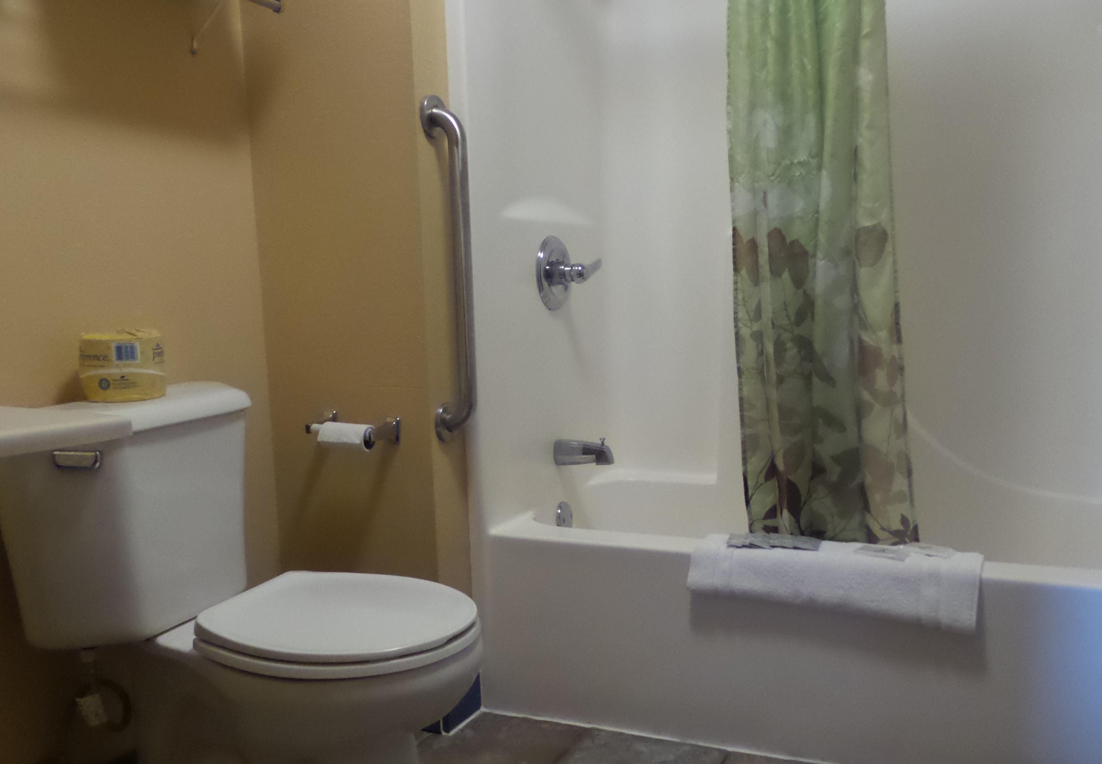 standard room, 2 queen beds, refrigerator & microwave | bathroom | combined shower/bathtub, free toiletries, towels
