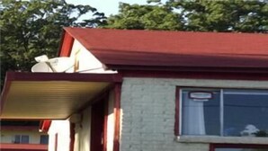 A small, single-story building with a red roof and a brick facade. There is a window with a sign above it, and a small garden area with plants. - Budget Inn (Heber Springs)