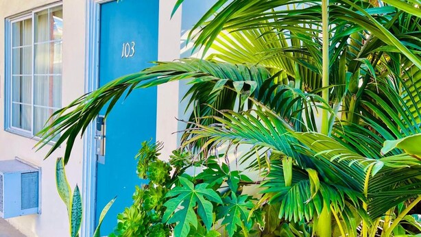 A building with a blue door marked "103" and lush tropical plants surrounding it.