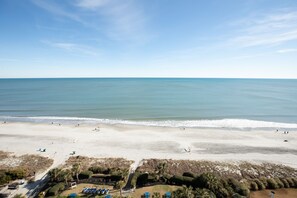 Deluxe Condo, 1 Bedroom, Non Smoking, Oceanfront | Terrace/patio