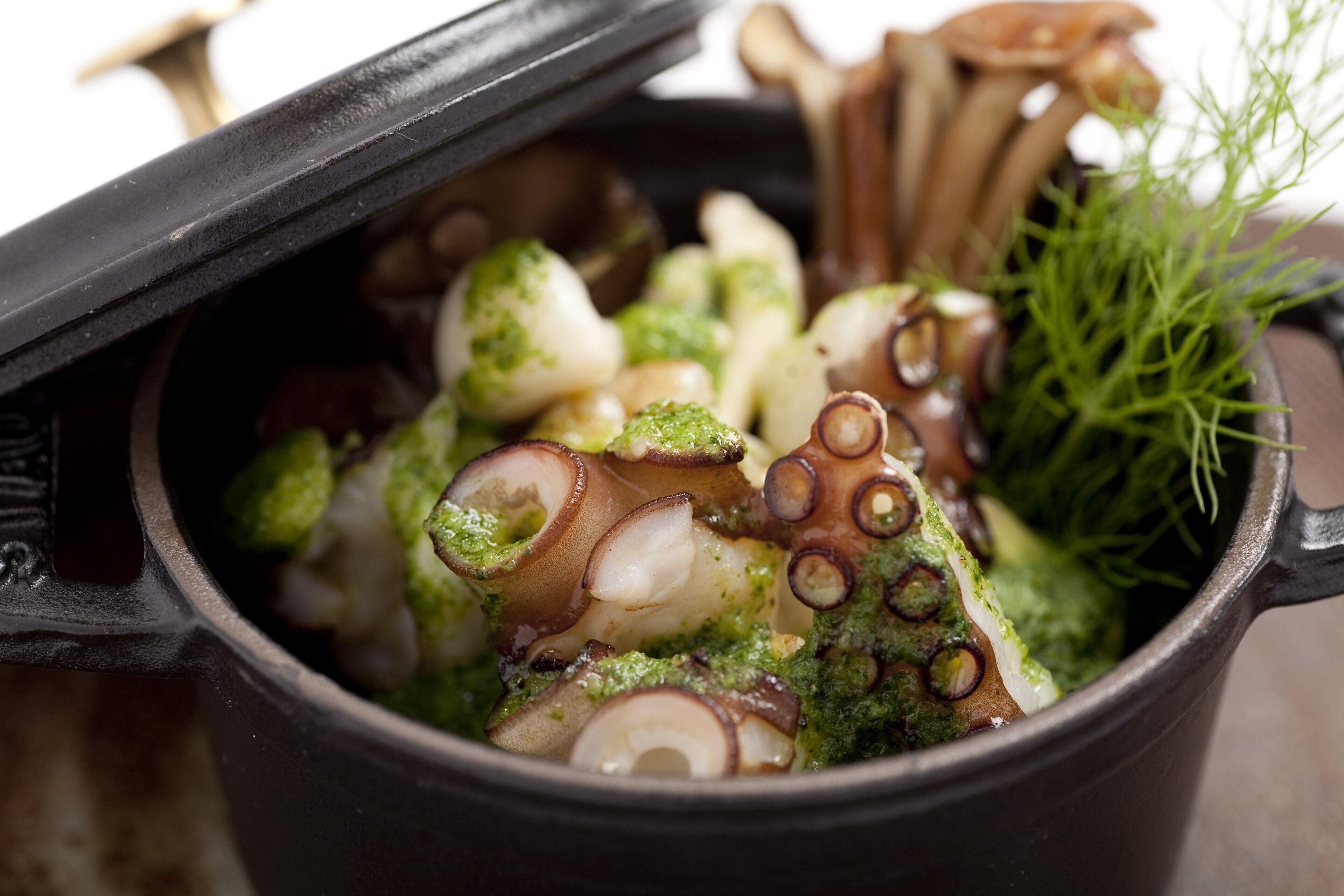 A pot of octopus with green herbs and a sprig of dill.
