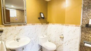 A bathroom with a pedestal sink, a toilet, and a mirror.