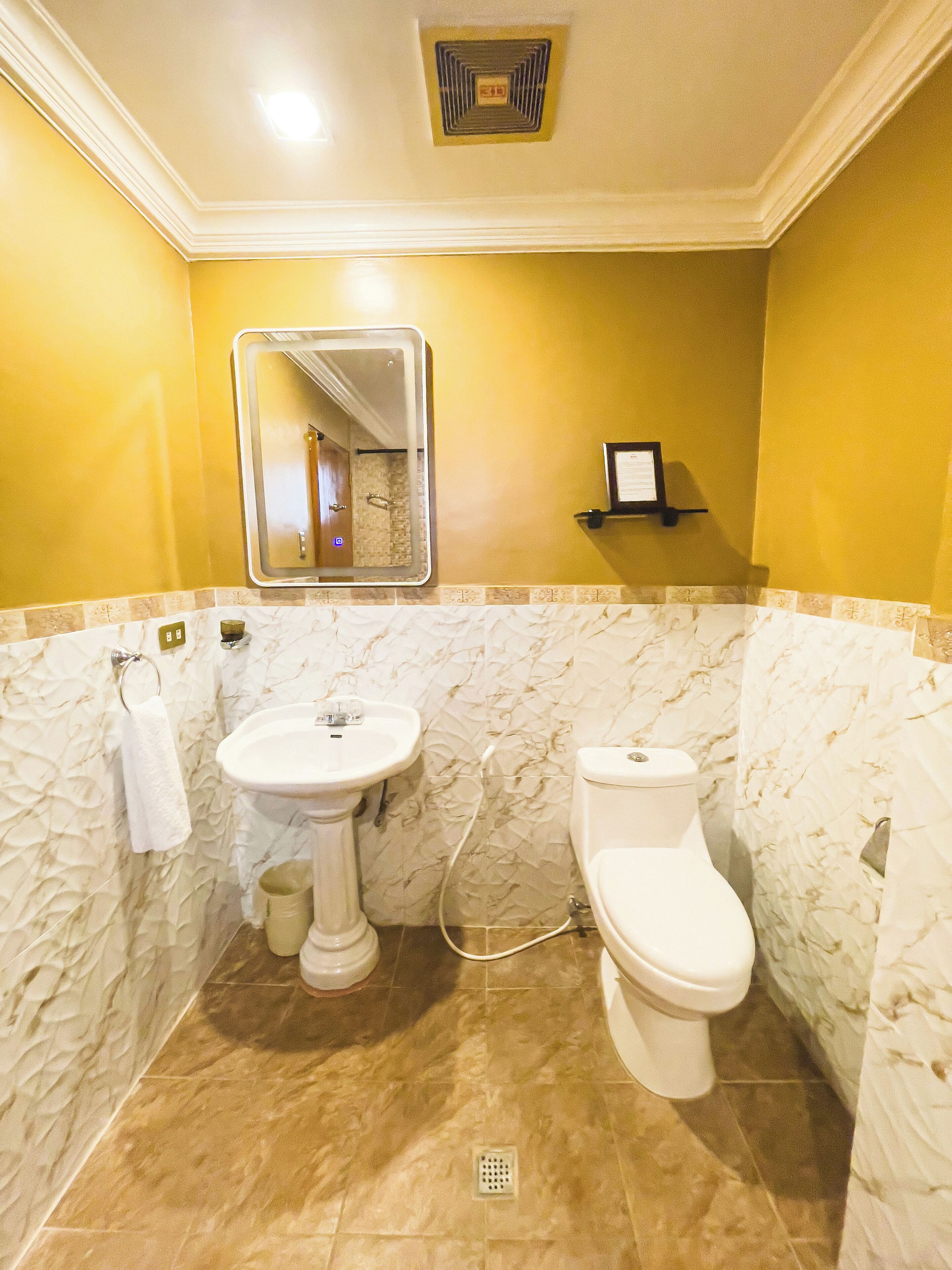 A bathroom with a pedestal sink, toilet, and a mirror.