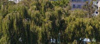 Baguio Burnham Suites