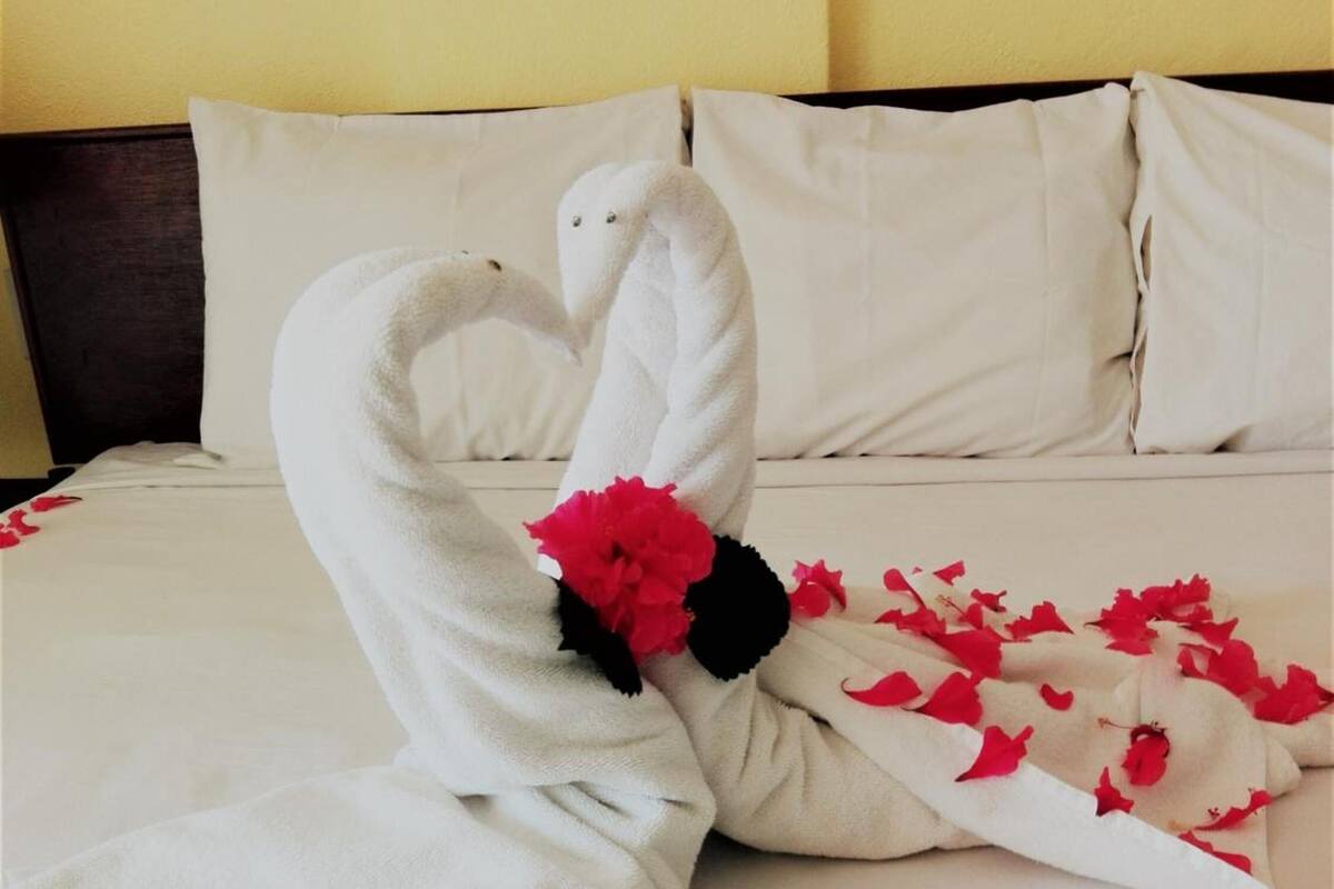 Una cama impecablemente tendida con una disposición de toallas en forma de cisne y flores rojas.