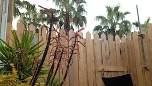 Una valla de madera, plantas en macetas y una silla en un jardín.