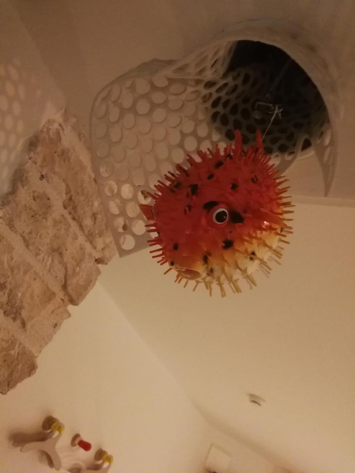 Foto - Hôtel de la Pinède