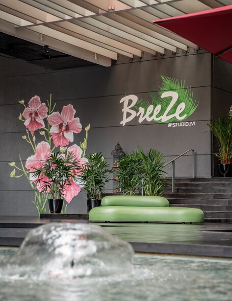 Studio M Hotel - Image 8