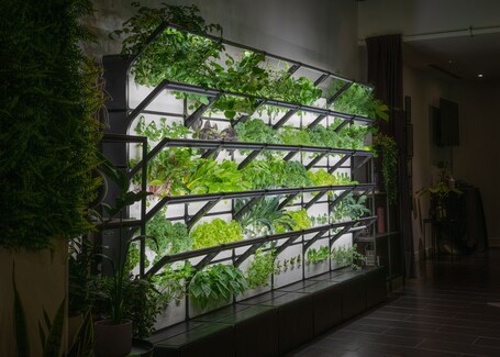 Studio M Hotel - Image 35