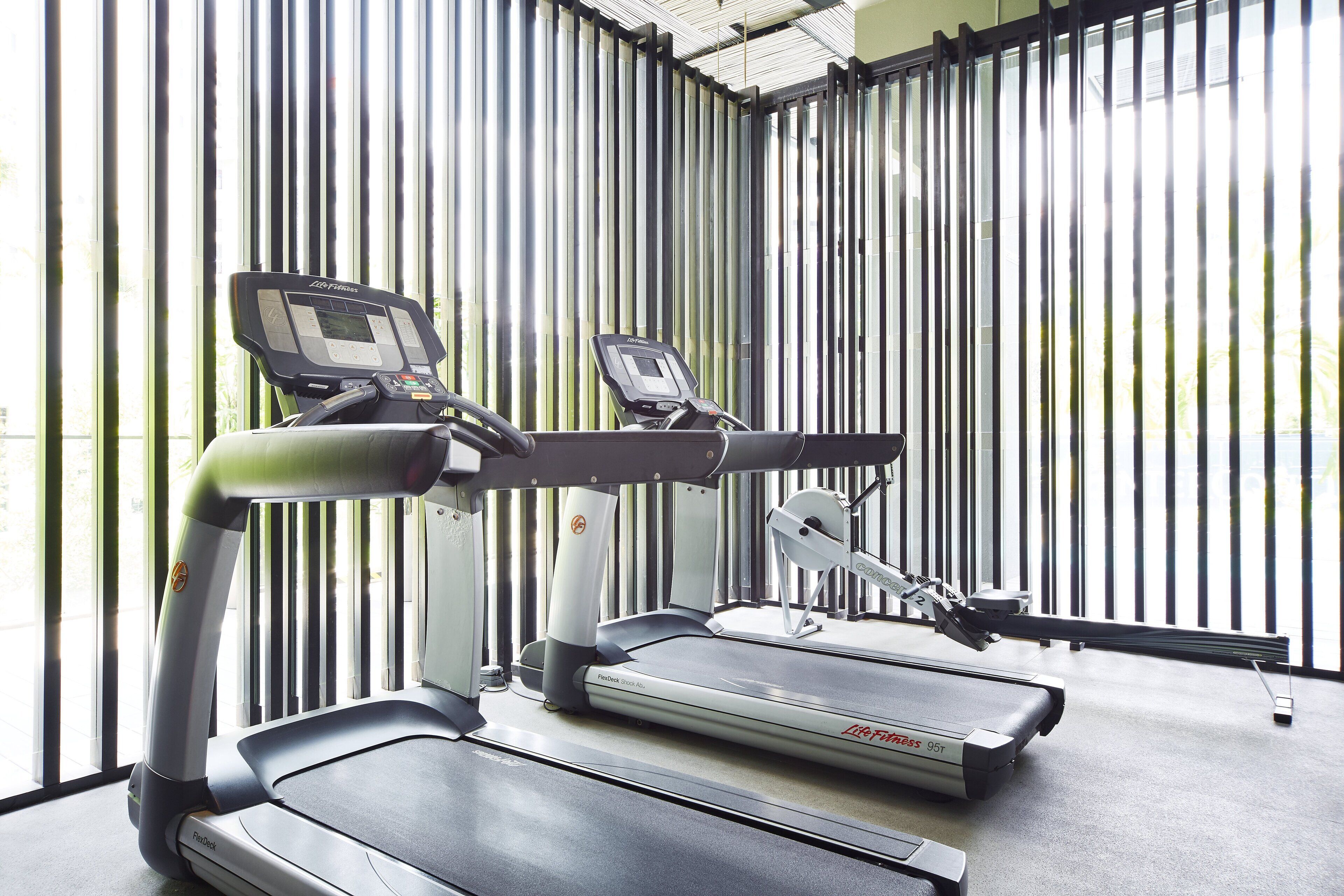 Un gimnasio con cintas de correr y equipo de ejercicio.