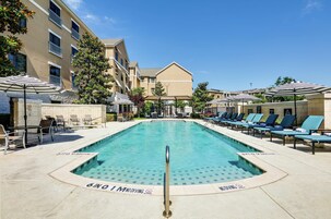 Una piscina al aire libre, sombrillas, sillones reclinables de piscina