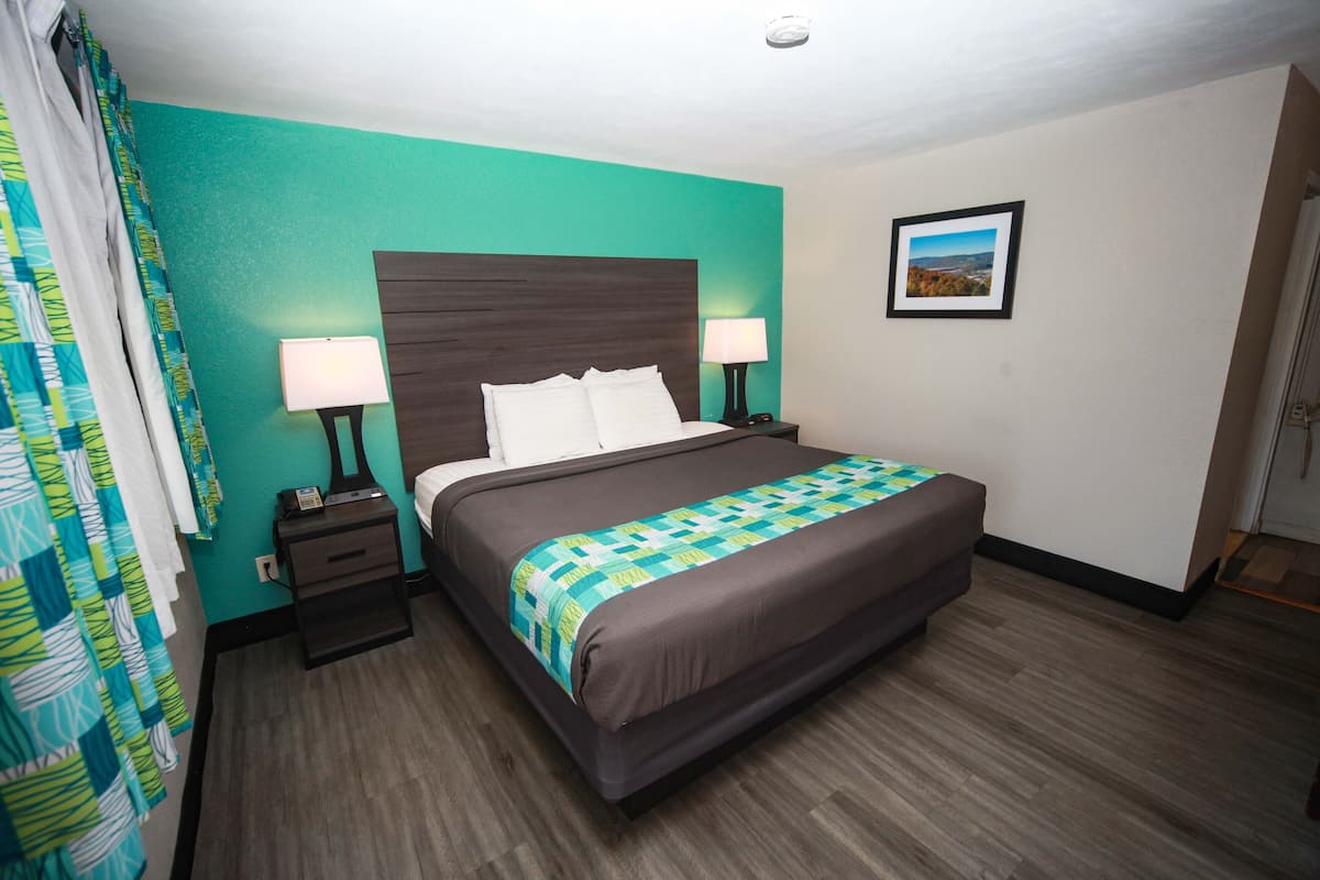 Room, 1 King Bed, Non Smoking | Desk, iron/ironing board (on request), WiFi (free), alarm clocks
