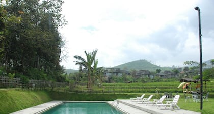 Tea Garden Resort