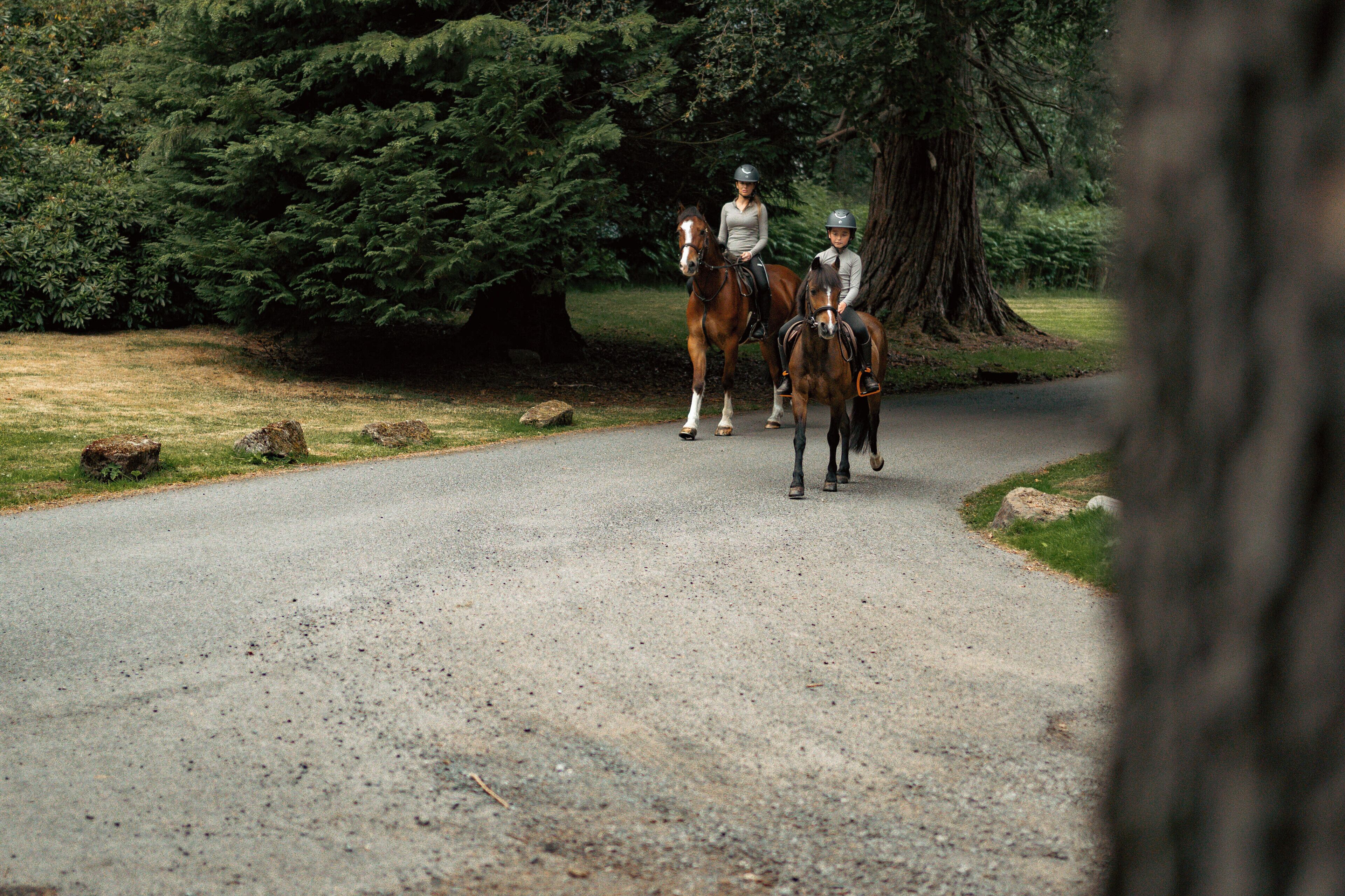 A paved road with two horses and riders.