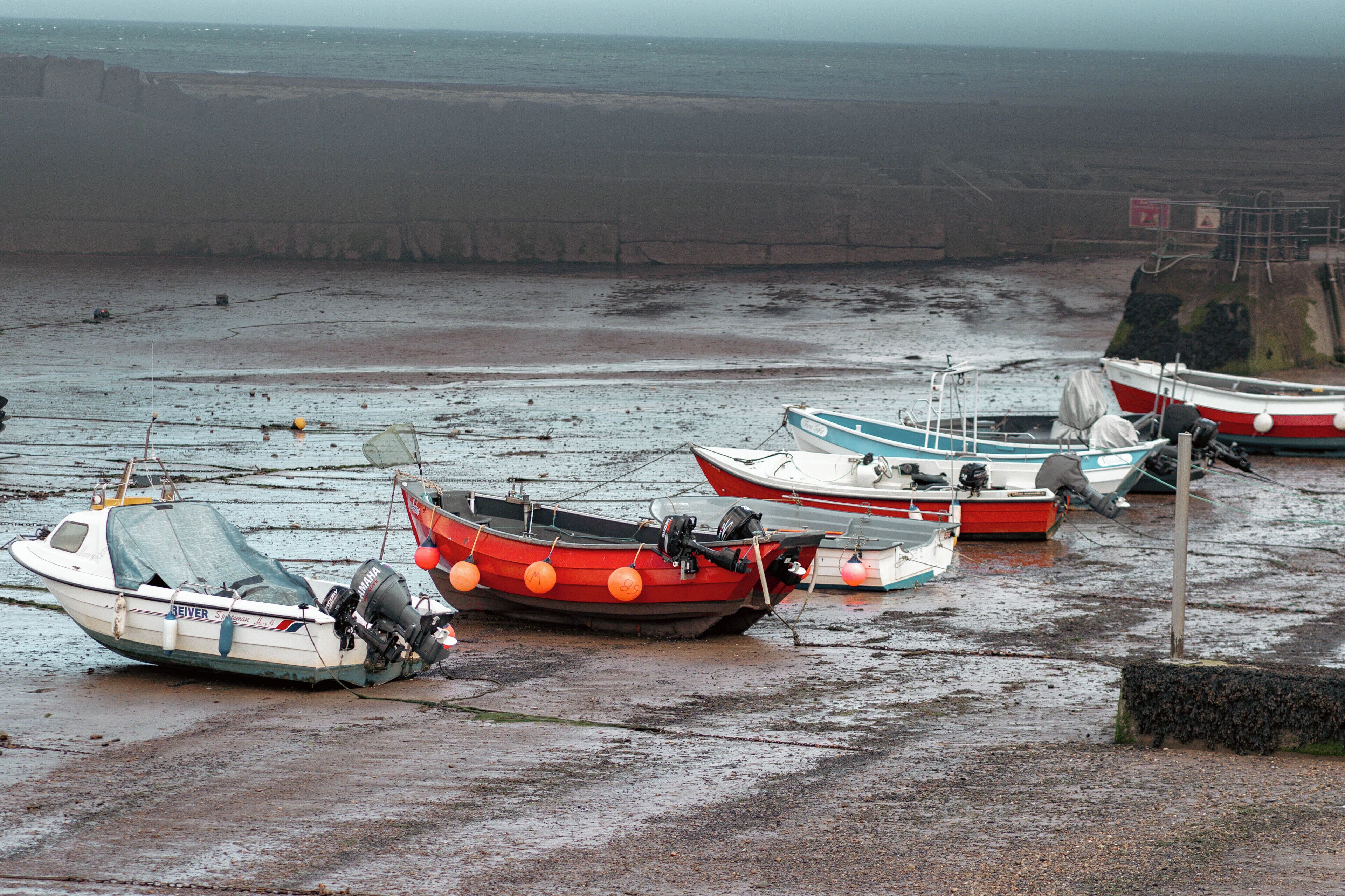 A row of boats tied up on a muddy shore with a rocky cliff in the background.