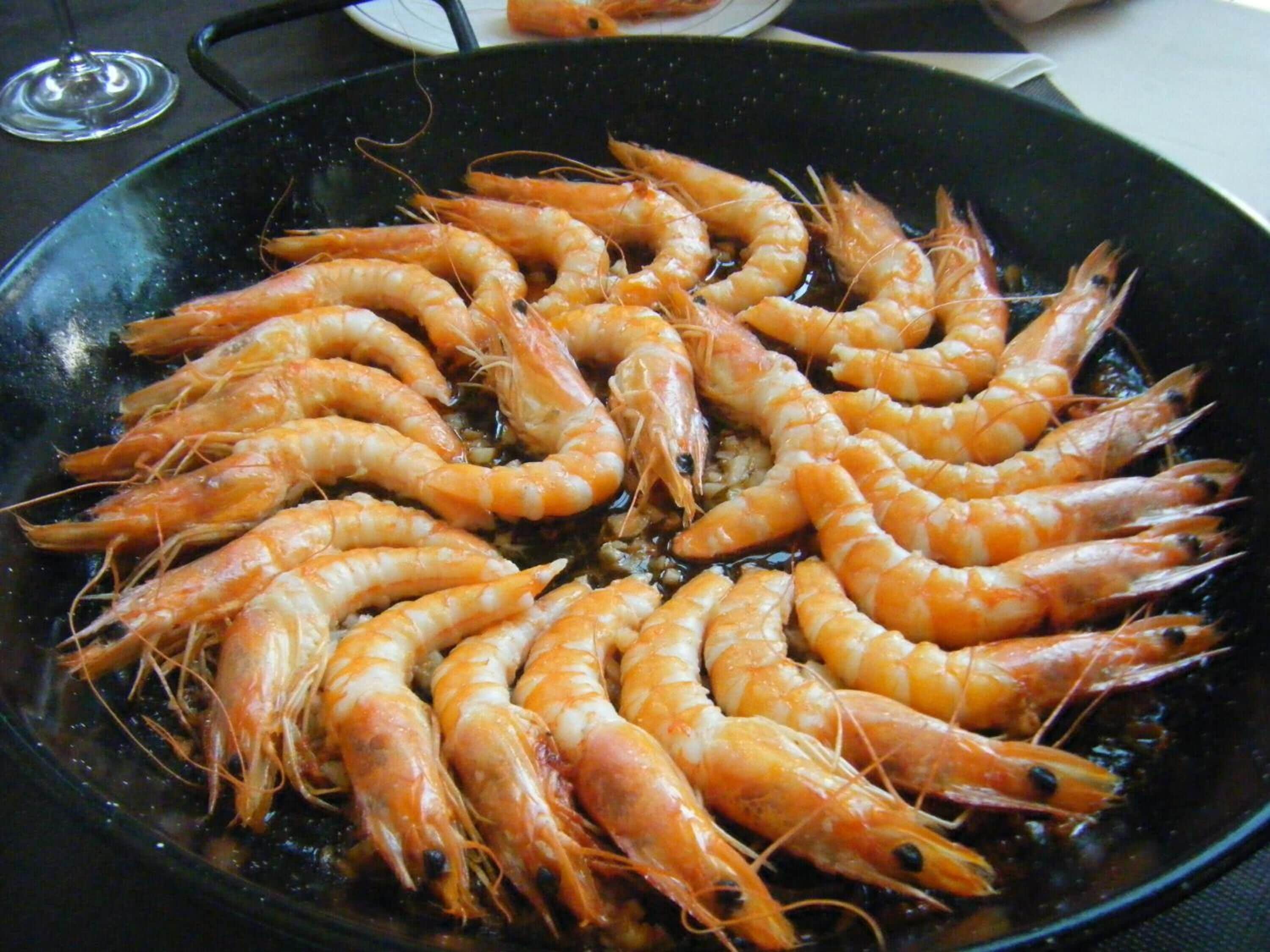 Foto - Hotel Mirador