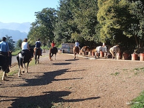 A dirt path with people riding horses, a sign reading "Rutas a Caballo", and potted plants along the side. - Azabache (Cangas de Onis)