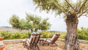 An outdoor seating area with wooden chairs and a table, surrounded by stone flooring and olive trees. - Quinta da Barroca (Armamar)