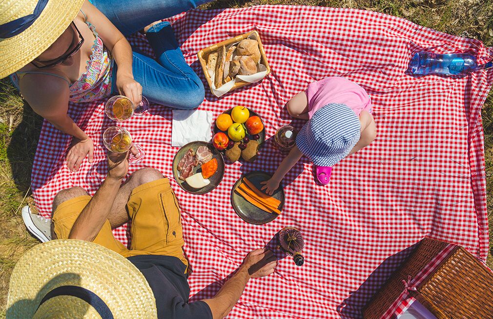 A group of people on a red and white checkered blanket outdoors.