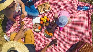 A group of people on a red and white checkered blanket outdoors.