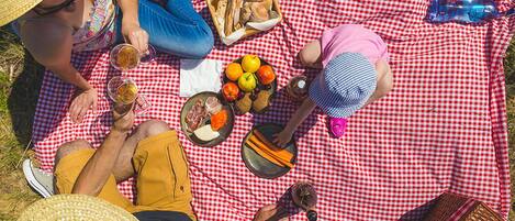 A group of people on a red and white checkered blanket outdoors.