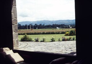 Premium bedding, down duvets, pillow-top beds, individually decorated