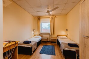 Standard Double Room | Desk, iron/ironing board (on request), WiFi (free) - Aleksandri Hotel (Tartu)