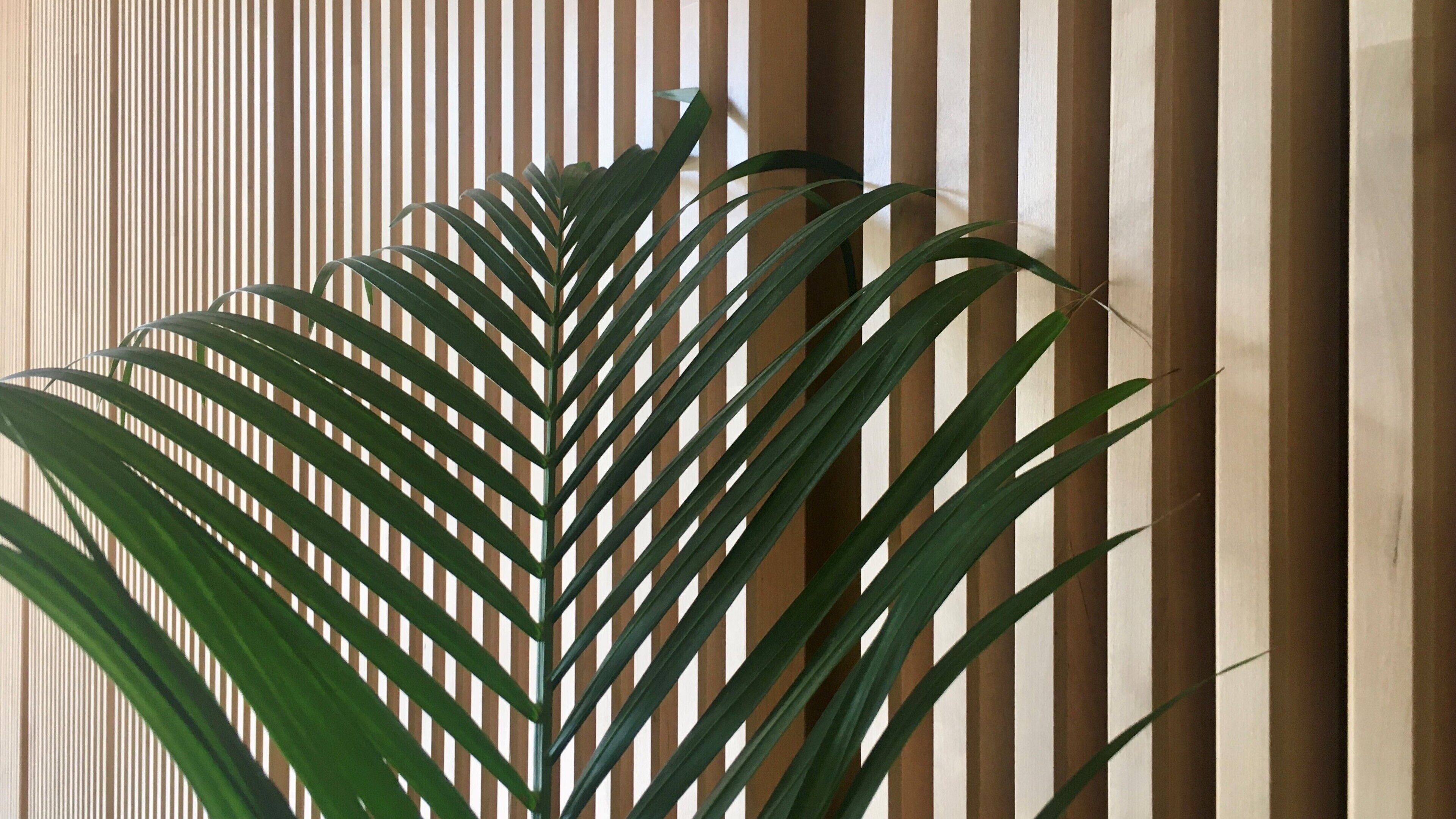 Foto - MD Modern Hotel - Jardines