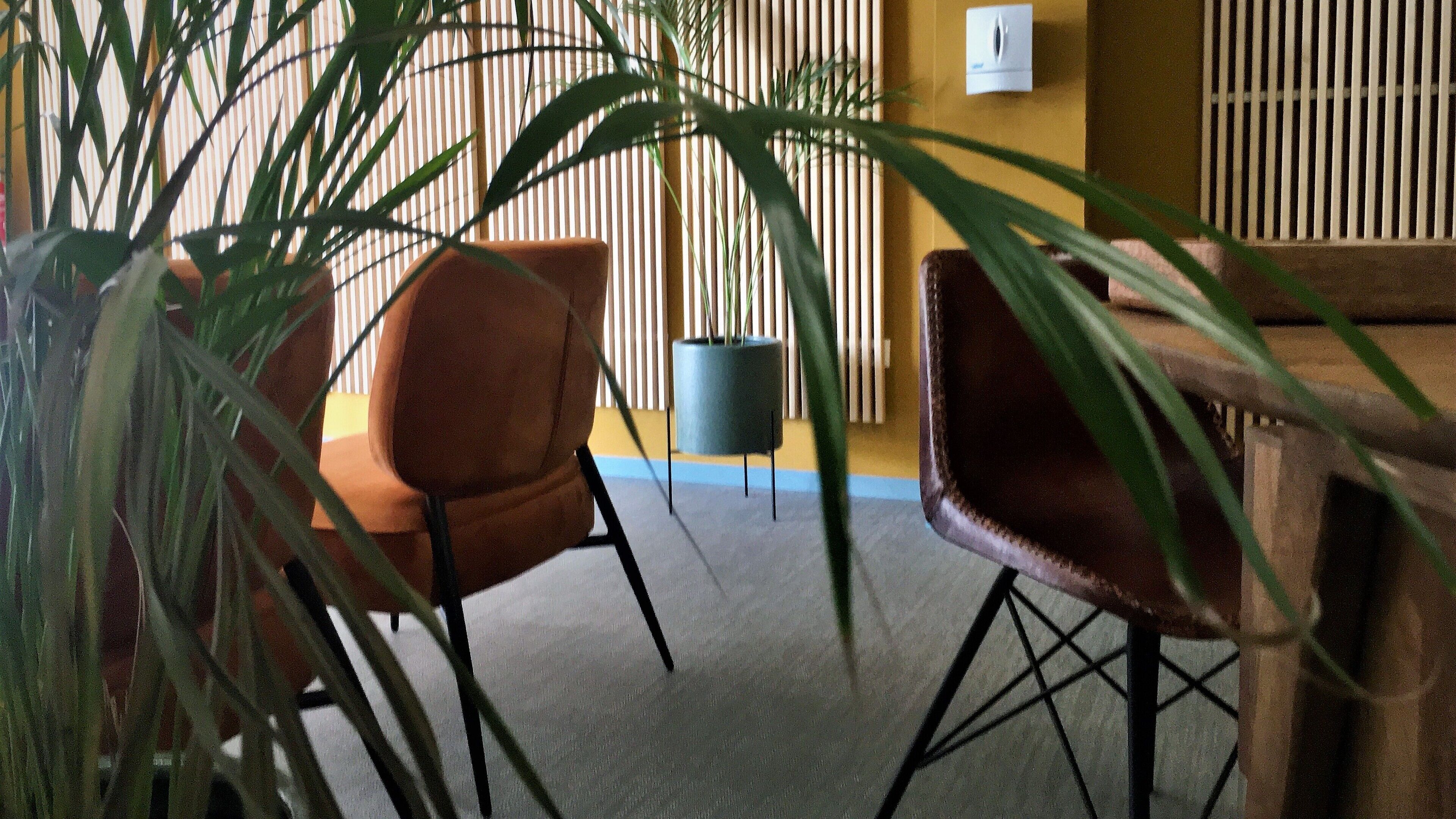 Foto - MD Modern Hotel - Jardines