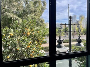 A view through a window of a tree with orange fruits, a street lamp, and buildings in the background. - MD Modern Hotel - Jardines (Valencia)