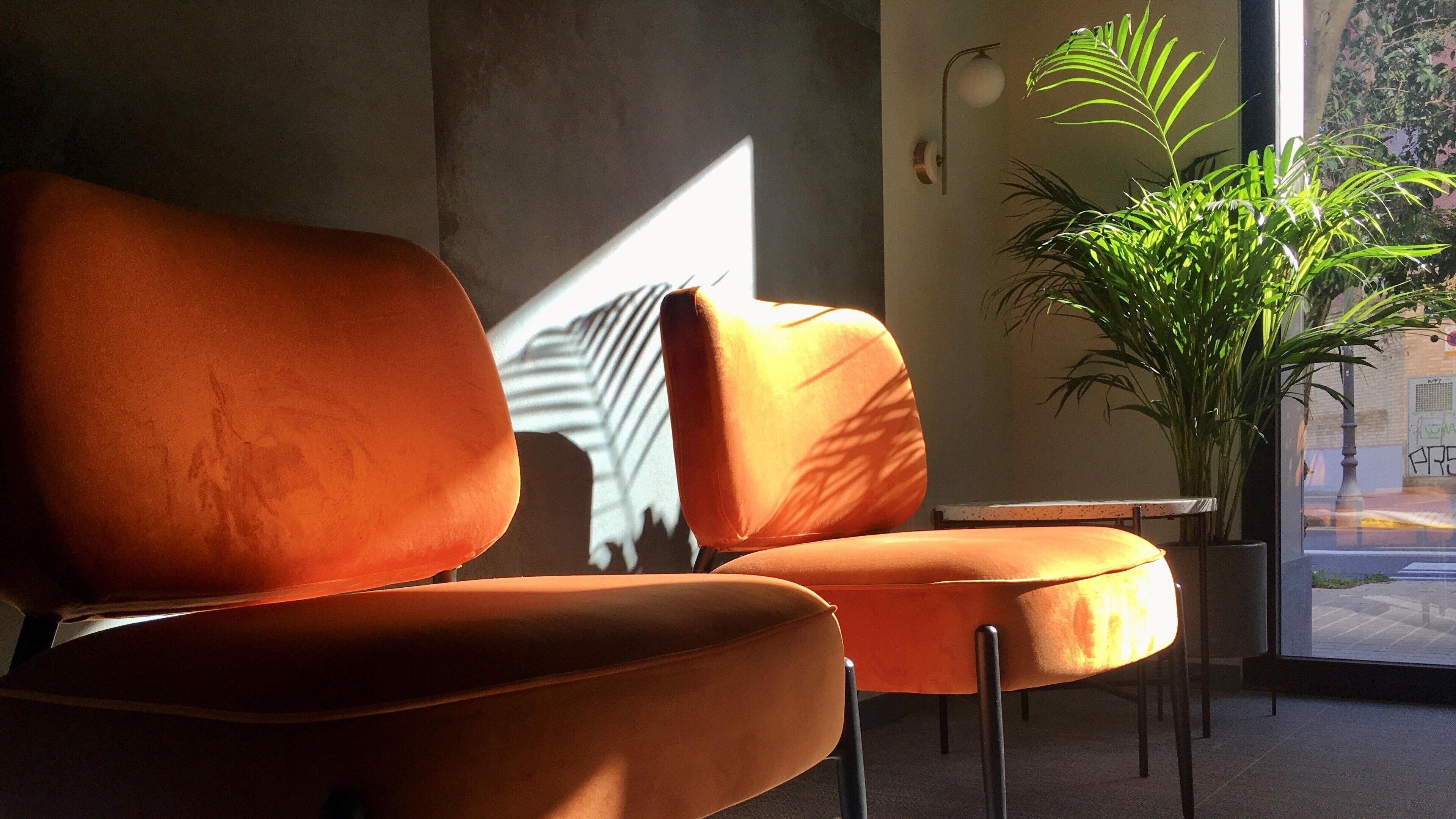 Foto - MD Modern Hotel - Jardines