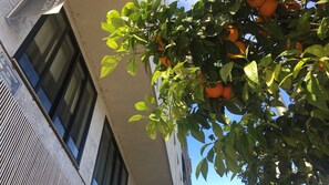 Hypo-allergenic bedding, down comforters, minibar, desk - MD Modern Hotel - Jardines (Valencia)