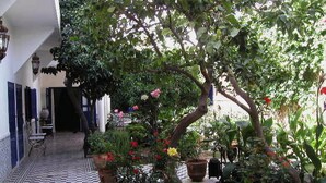 Un espacio al aire libre cubierto con suelo a cuadros, plantas en macetas y un árbol con flores rosas.
