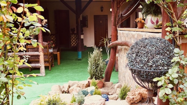 Un jardin rustique agrémenté d’un mur en pierre, de plantes en pot et d’un abreuvoir à oiseaux en métal.