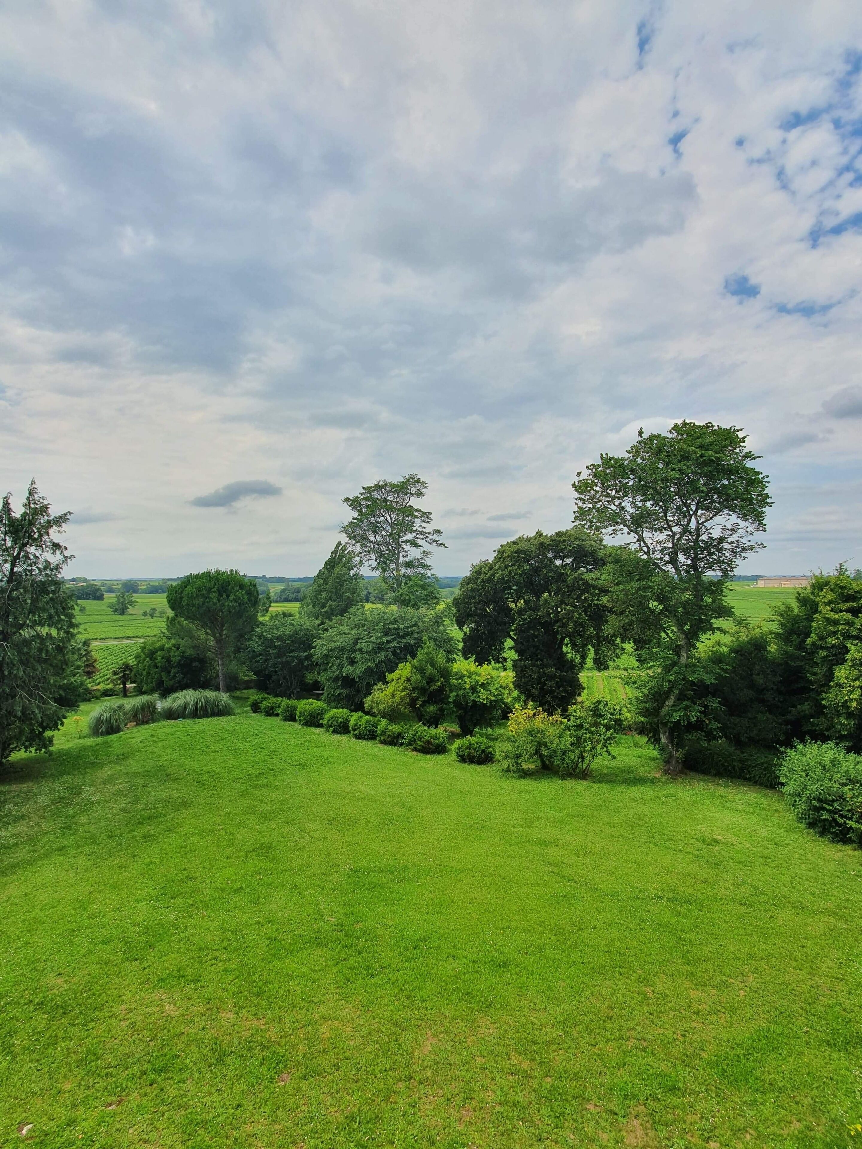 superior double room | desk, free wifi, bed sheets