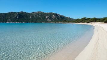 Nær stranden og hvit sand