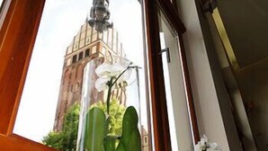 A window with a view of a building's tower and a potted plant with white flowers.
