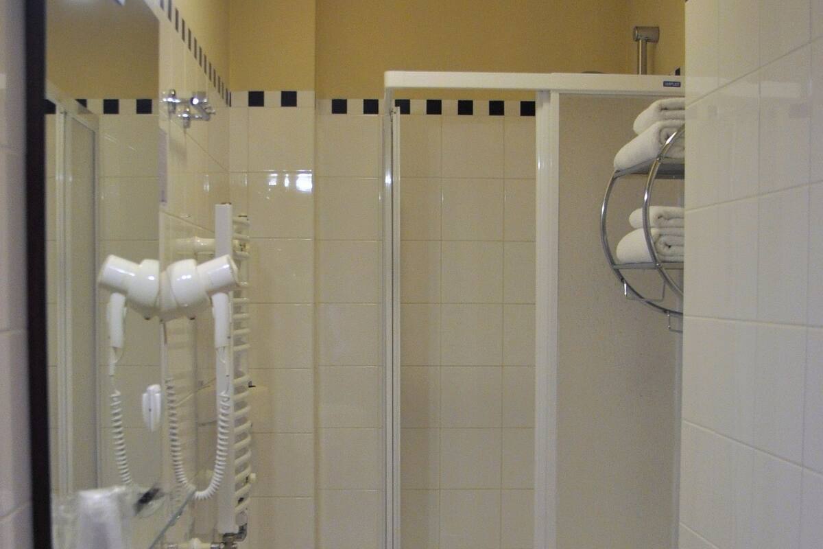 shower, free toiletries, hair dryer, towels