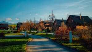 Een woonstraat met huizen, een heldere lucht en een kronkelende weg.