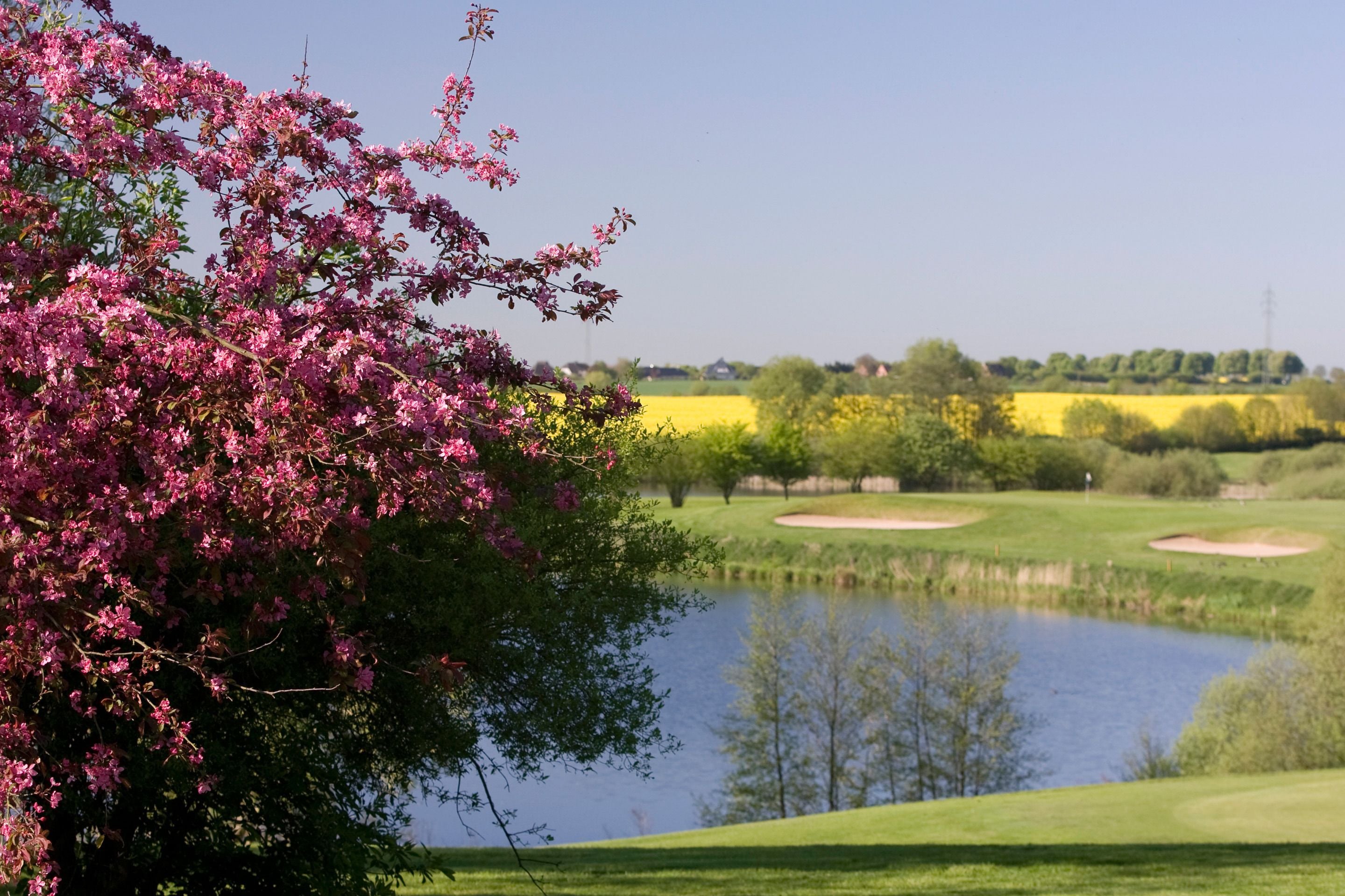 Un campo de golf con un estanque, árboles y cielo despejado.