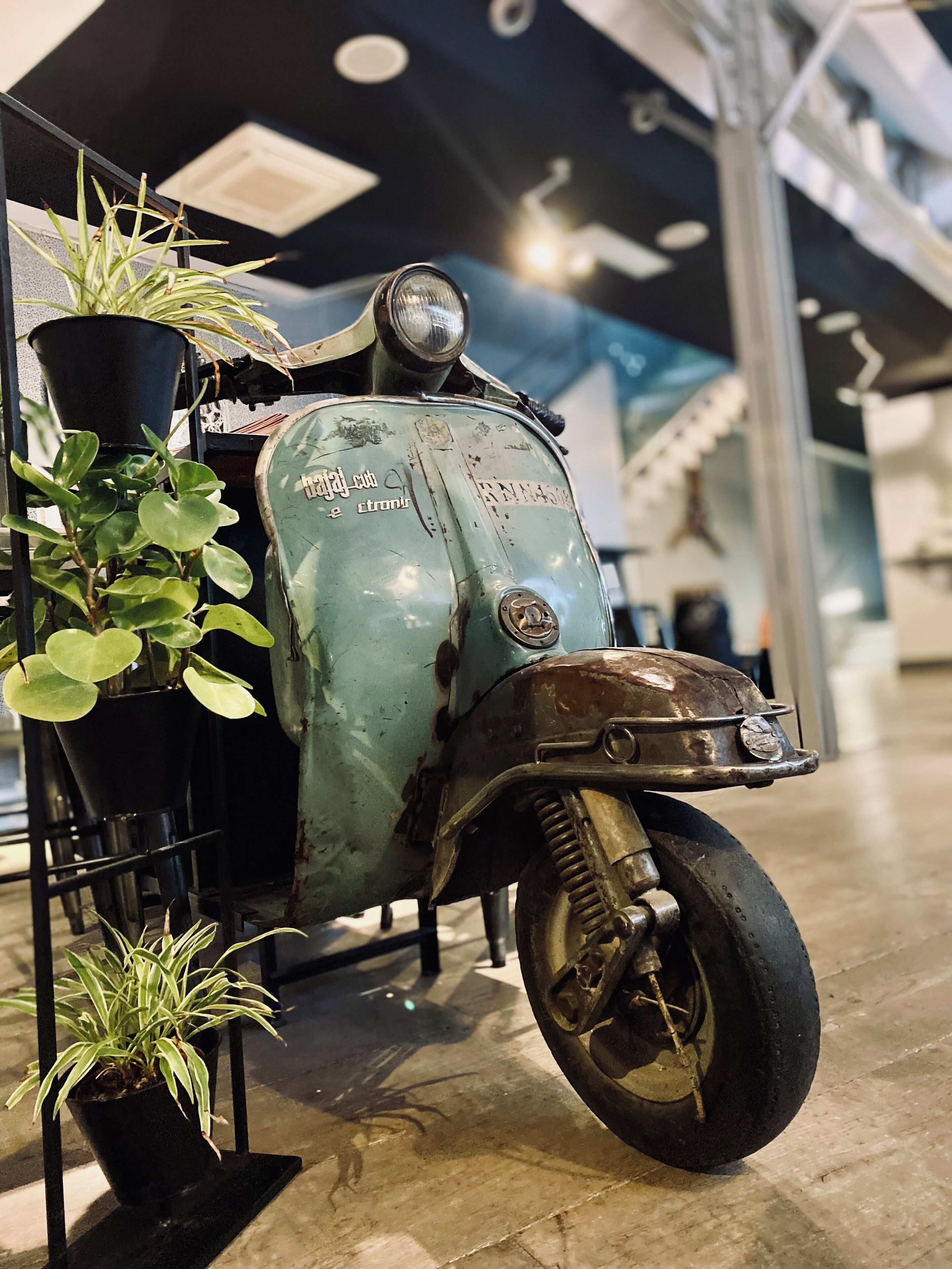 En vintage scooter med grøn farve og sort sæde, placeret indendørs med plantepotteskjulere i nærheden.